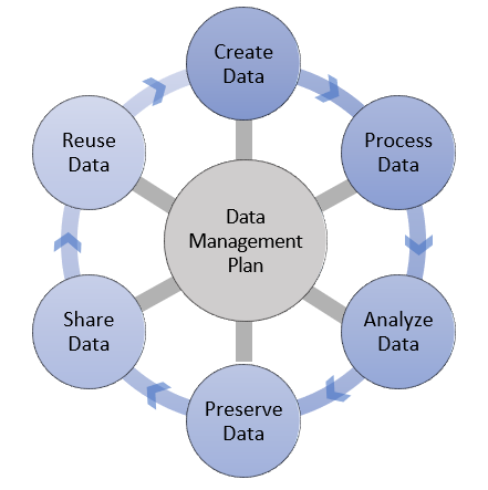 Data Management Plan Graphic