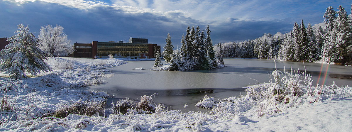Nipissing University Pond Winter