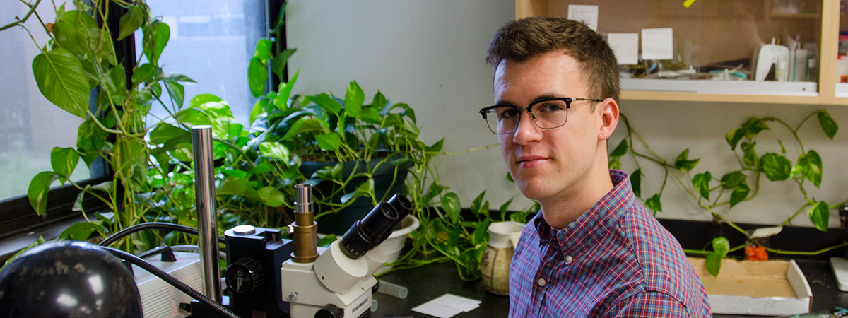 Researcher at microscope