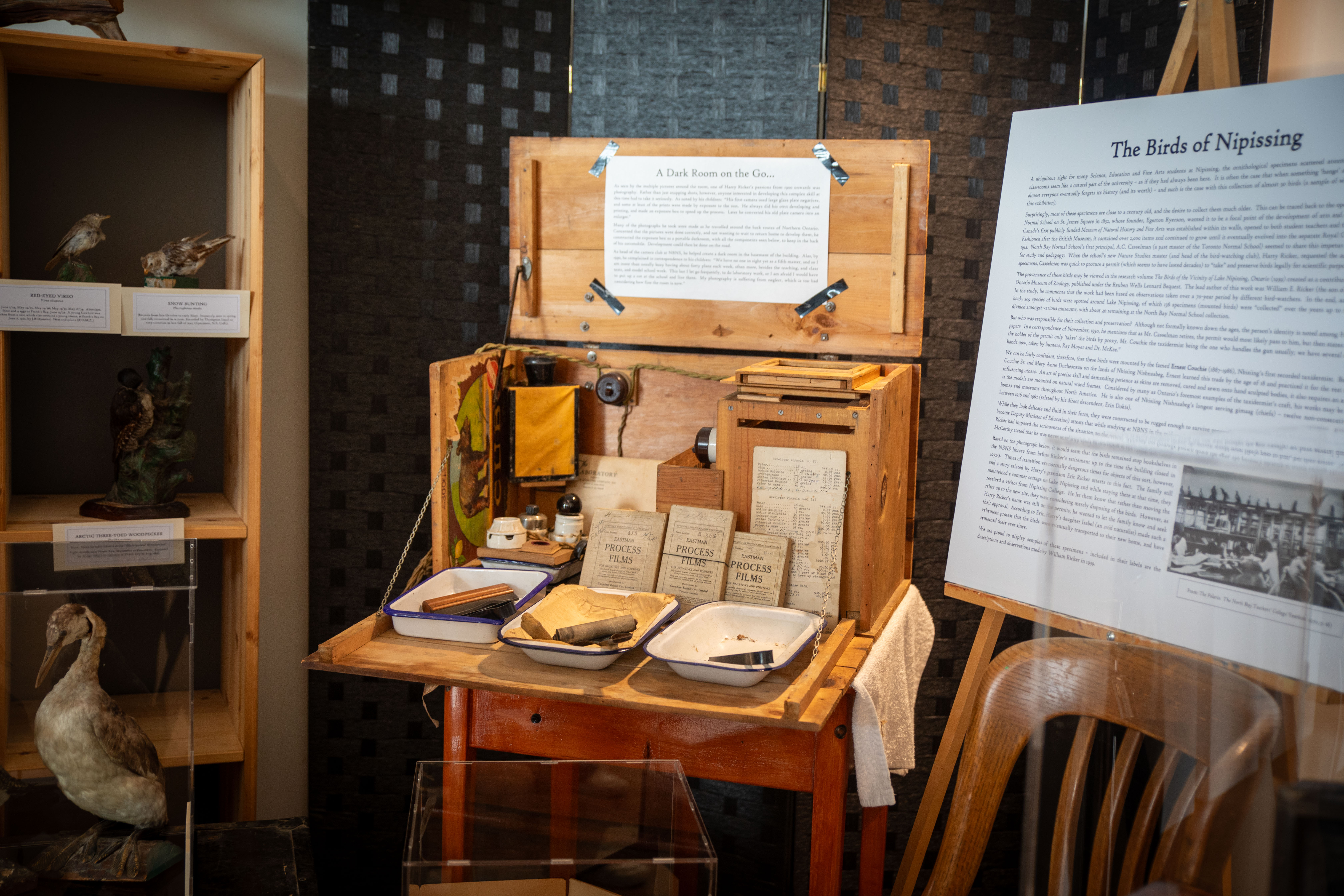 A collection of artifacts from the recent Ricker Exhibit 