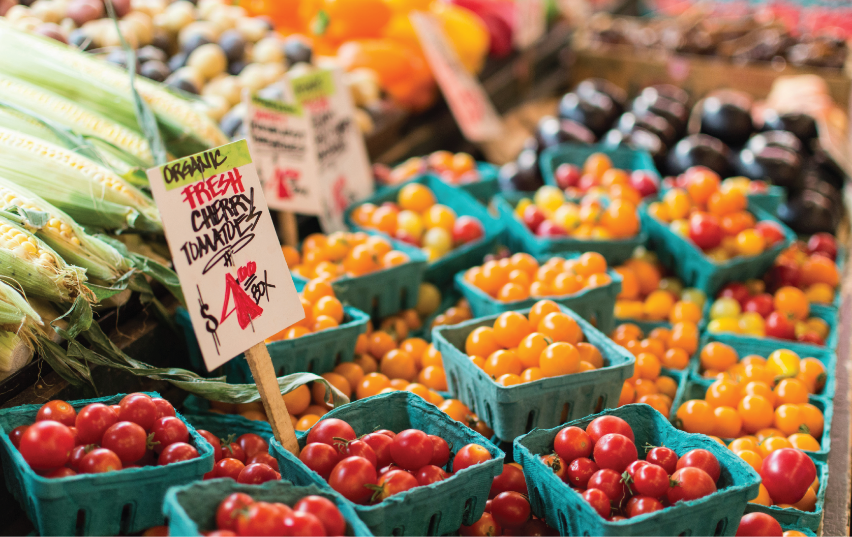 an upclose picture of tomato stands