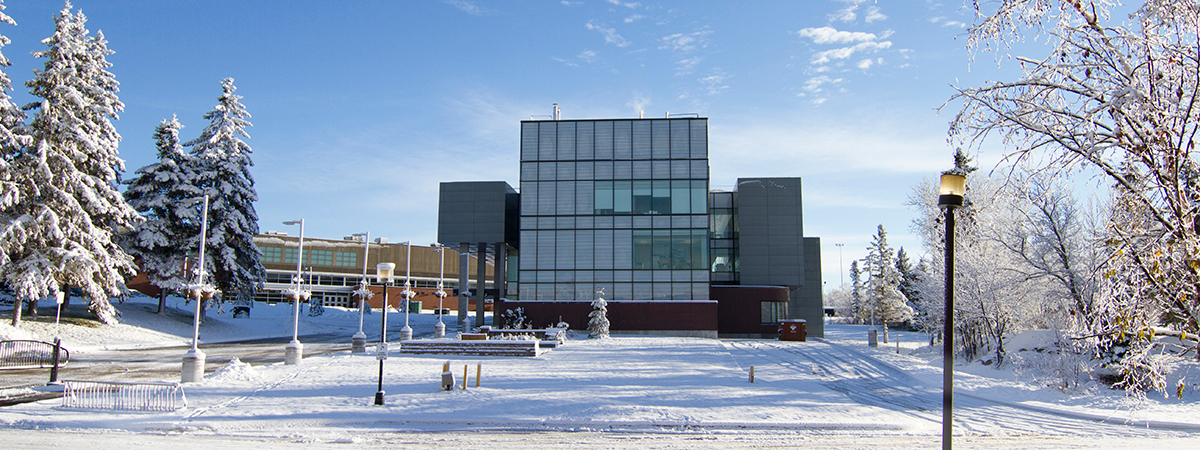 Nipissing library winter