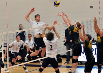 MVB action