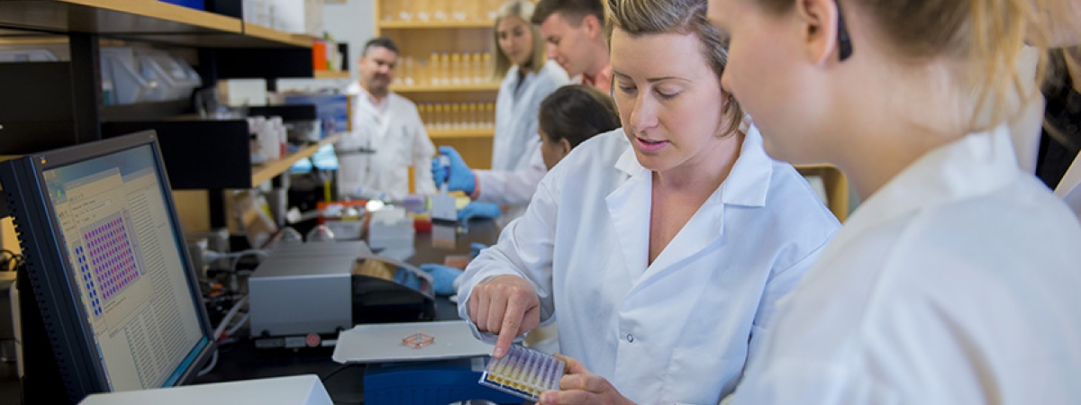 Explore our programs