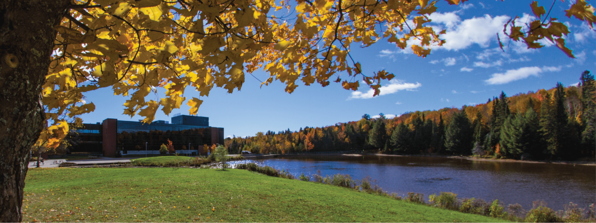 Nipissing University Campus in the fall