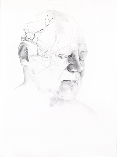 Amanda Burk Hushed Renewal