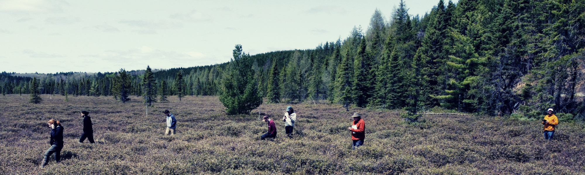 Colin McCarter's team in peatlands around Sudbury