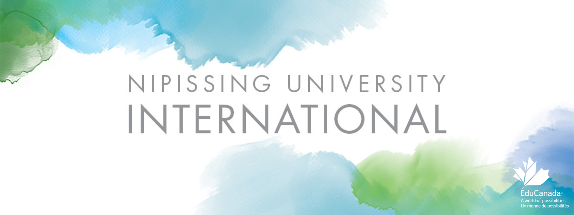 Nipissing University International