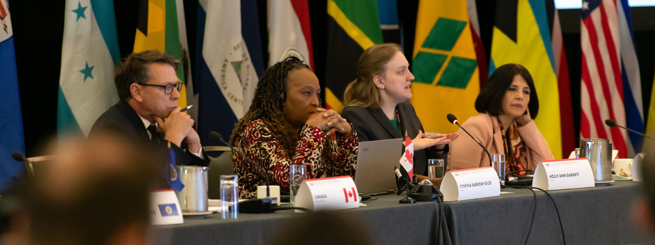 Alumnus Holly Garnett sits at a table with colleagues and national flags in the background.
