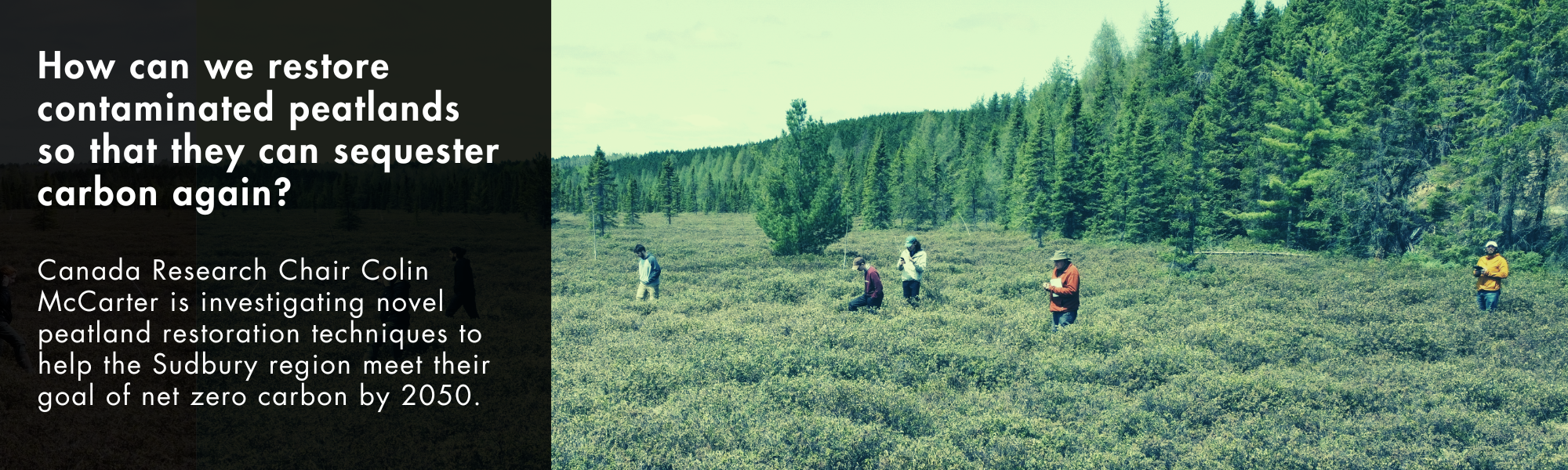 Colin McCarter's team in peatlands around Sudbury, caption: How can we restore contaminated peatlands so that they can sequester carbon again?