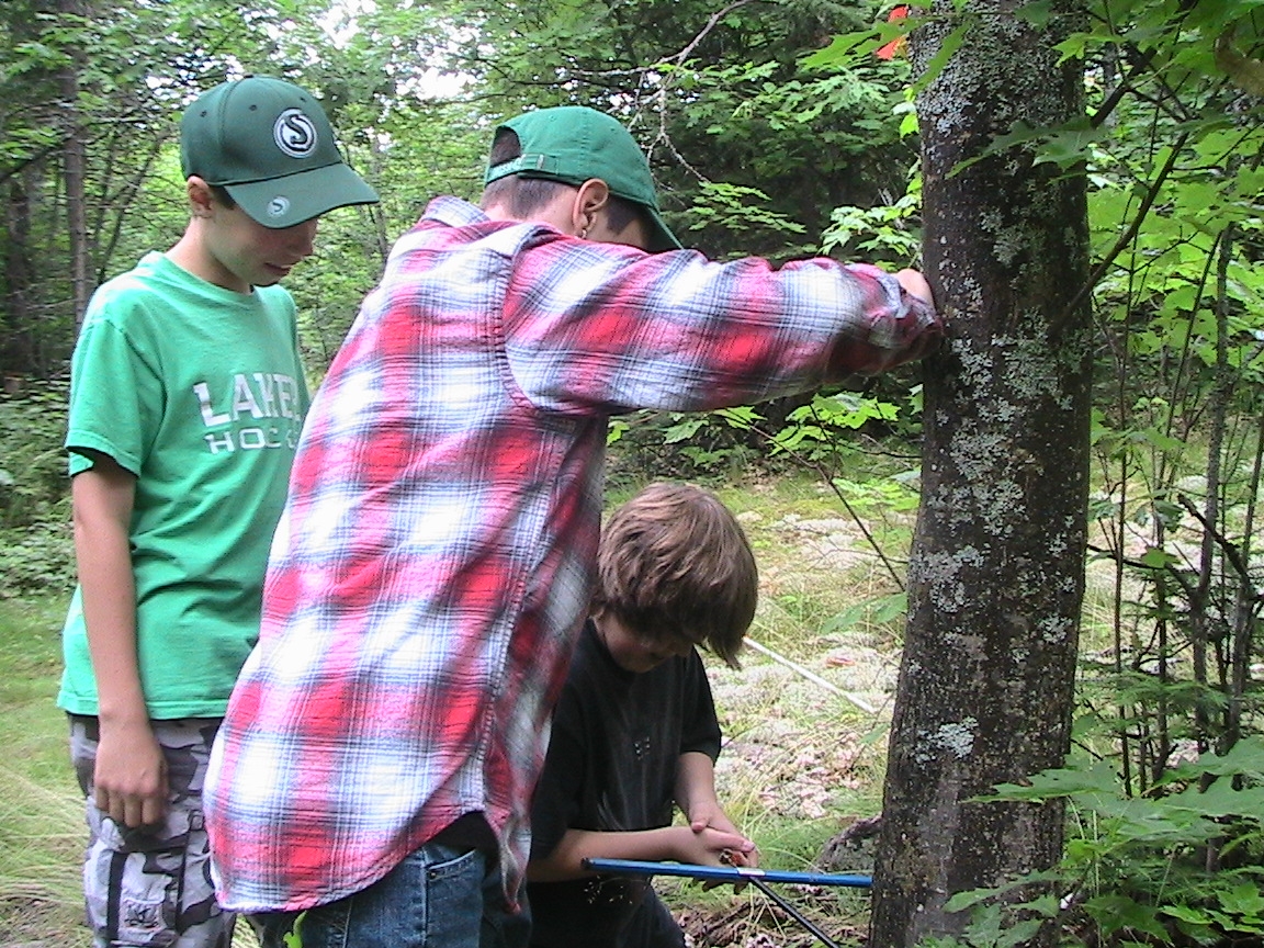 Photo of students in nature