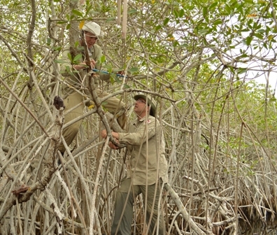 Photo of Geography professor, Dr. John Kovacs in nature