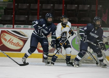Photo of hockey game