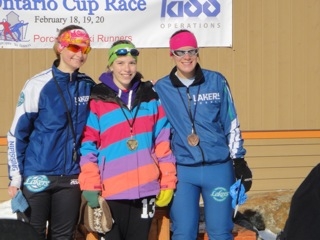 Photo of Nordic skiers