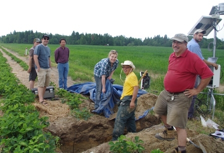 Photo of people in strawberry field