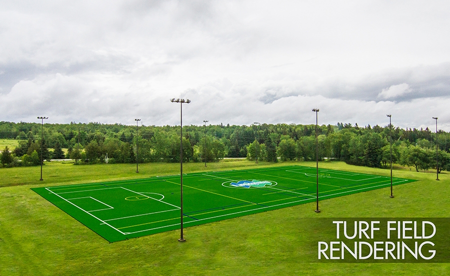 Turf field render
