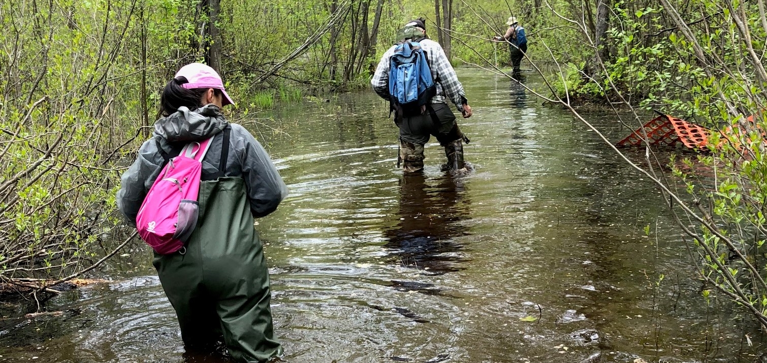 wading through waist high water