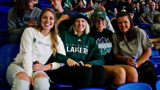 Crowd at hockey game