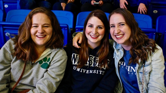 Three people at Hockey game