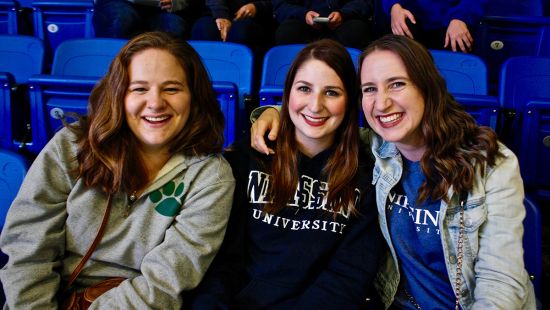 Three people at Hockey game