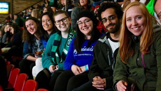 People at Hockey game