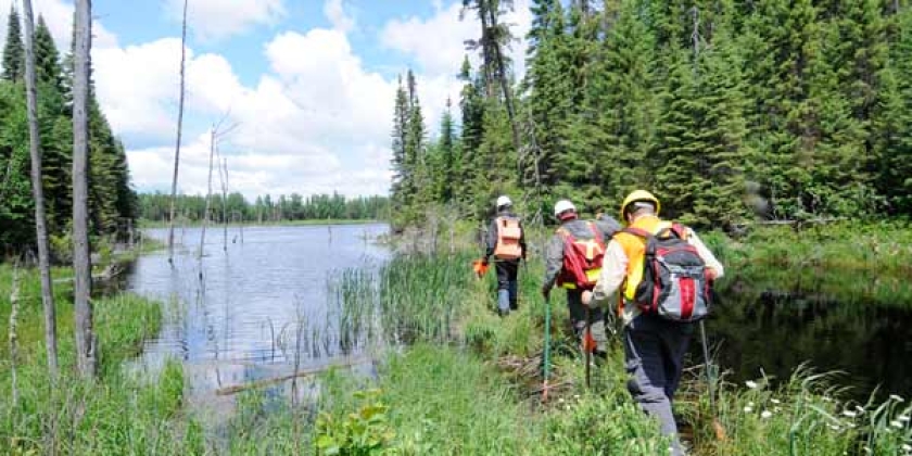 forest resources lab members walking by a beaver dam