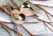 A child stands in the snowy forest looking up at two birds in a tree branch.