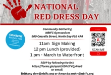 Red Dress Day poster