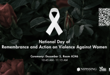 National Day of Remembrance and Action on Violence Against Women Poster