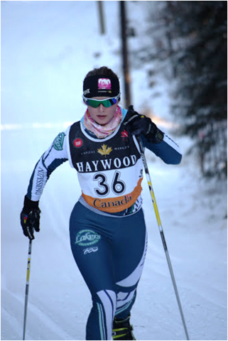 Nordic Skier 6